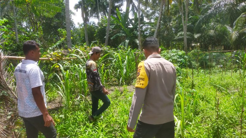 Personil Polsek Seunagan Polres Nagan Raya Melakukan Pengecekan Lahan Ketahanan Pangan Untuk Dukung Program Astacita