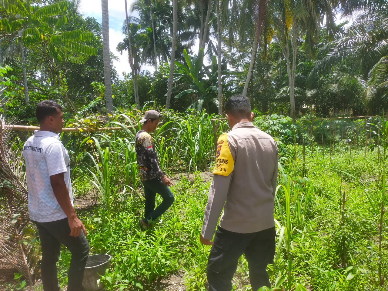Personil Polsek Seunagan Polres Nagan Raya Melakukan Pengecekan Lahan Ketahanan Pangan Untuk Dukung Program Astacita