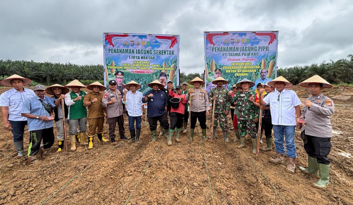 Suseskan Program Presiden, Polres Inhu Bersama PT. Tasma Puja Tanam Jagung Pipil