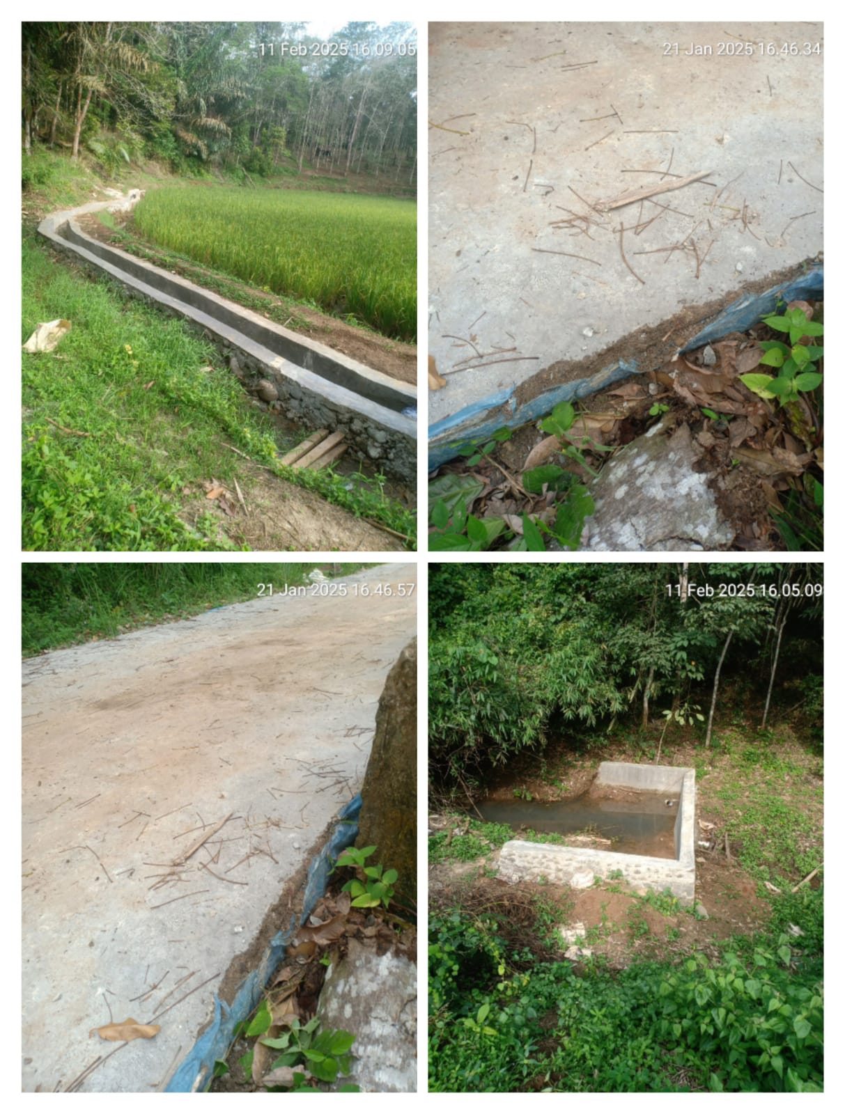 Diduga Pekerjaan Dinas Pertanian Tapsel Syarat KKN