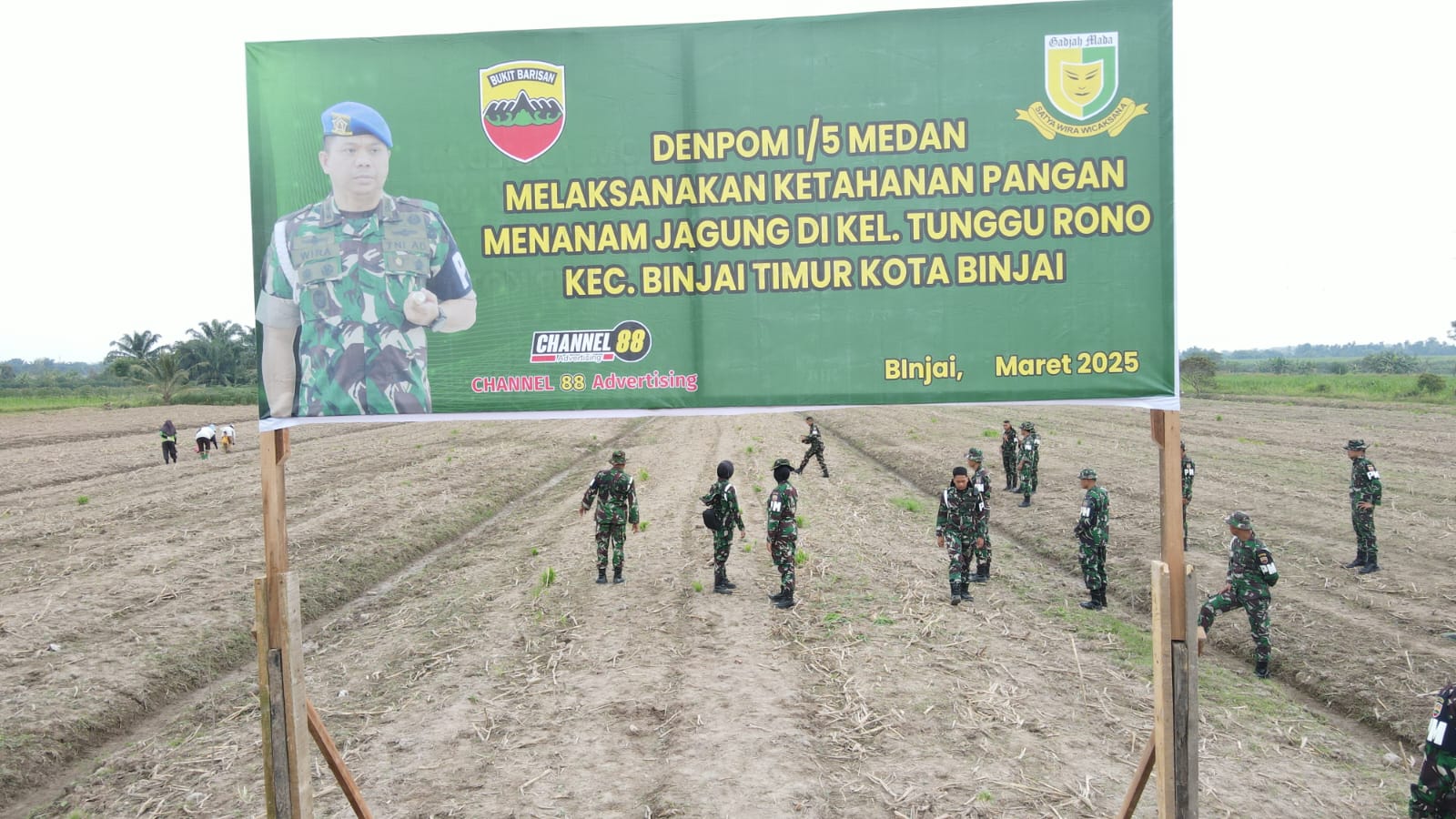 Personel Denpom I/5 Medan Tanam Bibit Jagung Gunakan Lahan di Sei Semayang Tunggurono Binjai