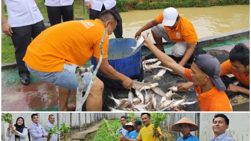 Rutan Rengat Inhu Wujudkan Budidaya Ketahanan Pangan Melalui Budidaya Ikan Air Tawar dan Pertanian