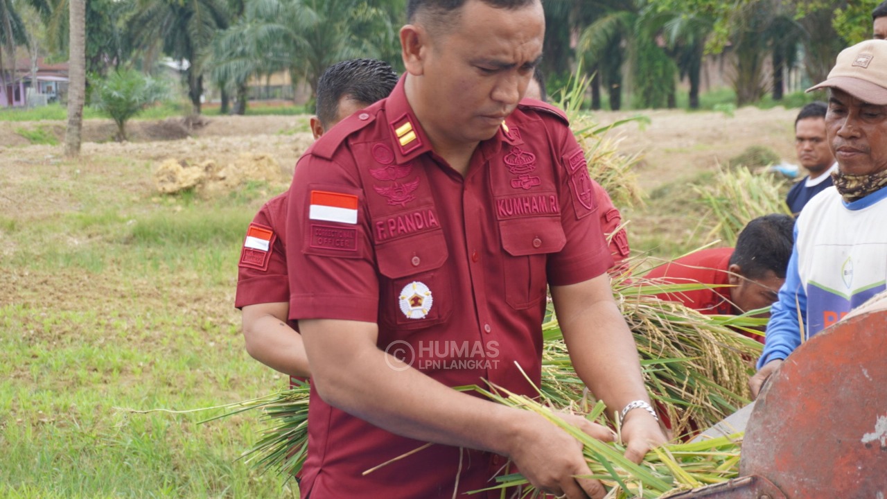 Panen Raya Padi, Lapas Narkotika Langkat Wujudkan Program Ketahanan Pangan Nasional