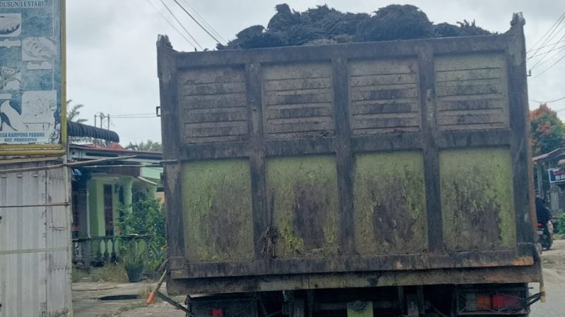 Warga Resah Dengan Mobil Dump Truk PT. Perkebunan RSK Pengakut Jangkos Sawit Tanpa Terbal Tertutup