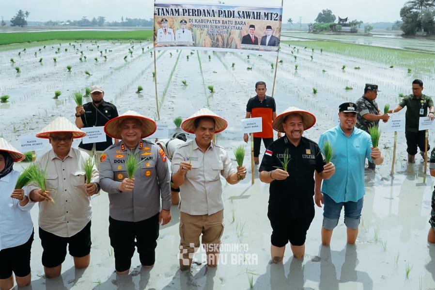Bupati Baharuddin Siagian Gerakkan Petani Tanam Padi Serentak di Desa Sukaramai, Janji Bendungan Sungai Sidalu – dalu Irigasi Cinta Maju Akan Dibenahi