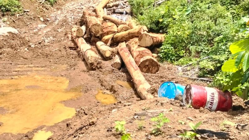 Terkait Perambahan Hutan di Aceh Selatan, APH Dinilai Tutup Mata