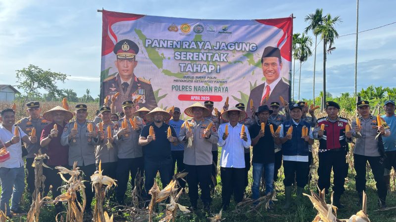 Kapolres Nagan Raya Laksanakan Panen Raya Jagung Serentak Tahap I, Gugus Tugas Polri Dukung Ketahanan Pangan