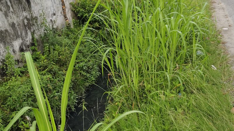 Soroti Rumput Menyemak, Duma Tekankan Lurah dan Kepling di Helvetia Timur Jaga Kebersihan Wilayah