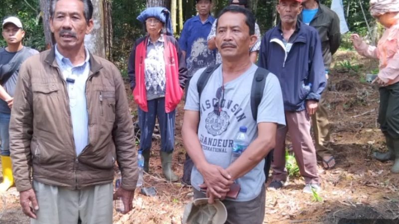 Keluarga Besar Pomparan Ompu Raja Mallangantari Damanik Bantah Keras Lakukan Pembalakan Liar dan Illegal Loging di Harangan Repa