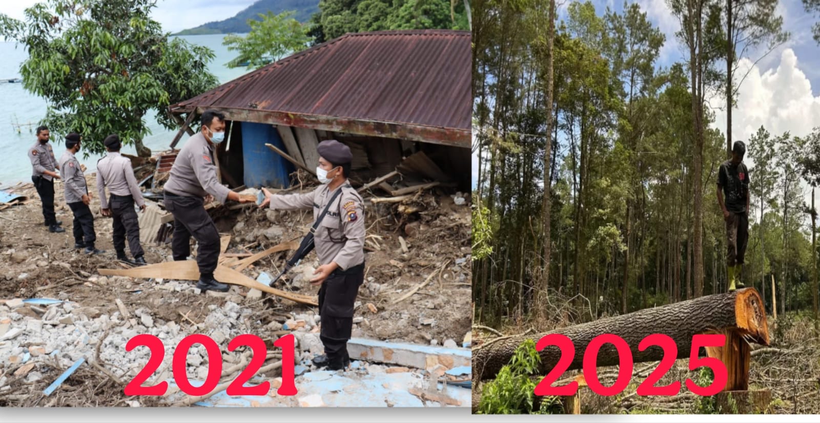 Reva di Ujung Tanduk: Hutan Dilenyapkan, Ancaman Longsor Mengintai Lagi