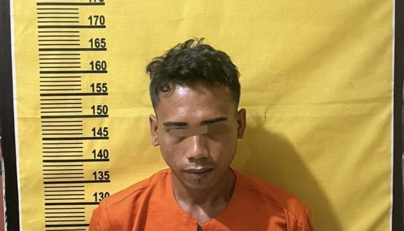 Polisi Ringkus Pemuda Perkosa Ibu Rumah Tangga 
