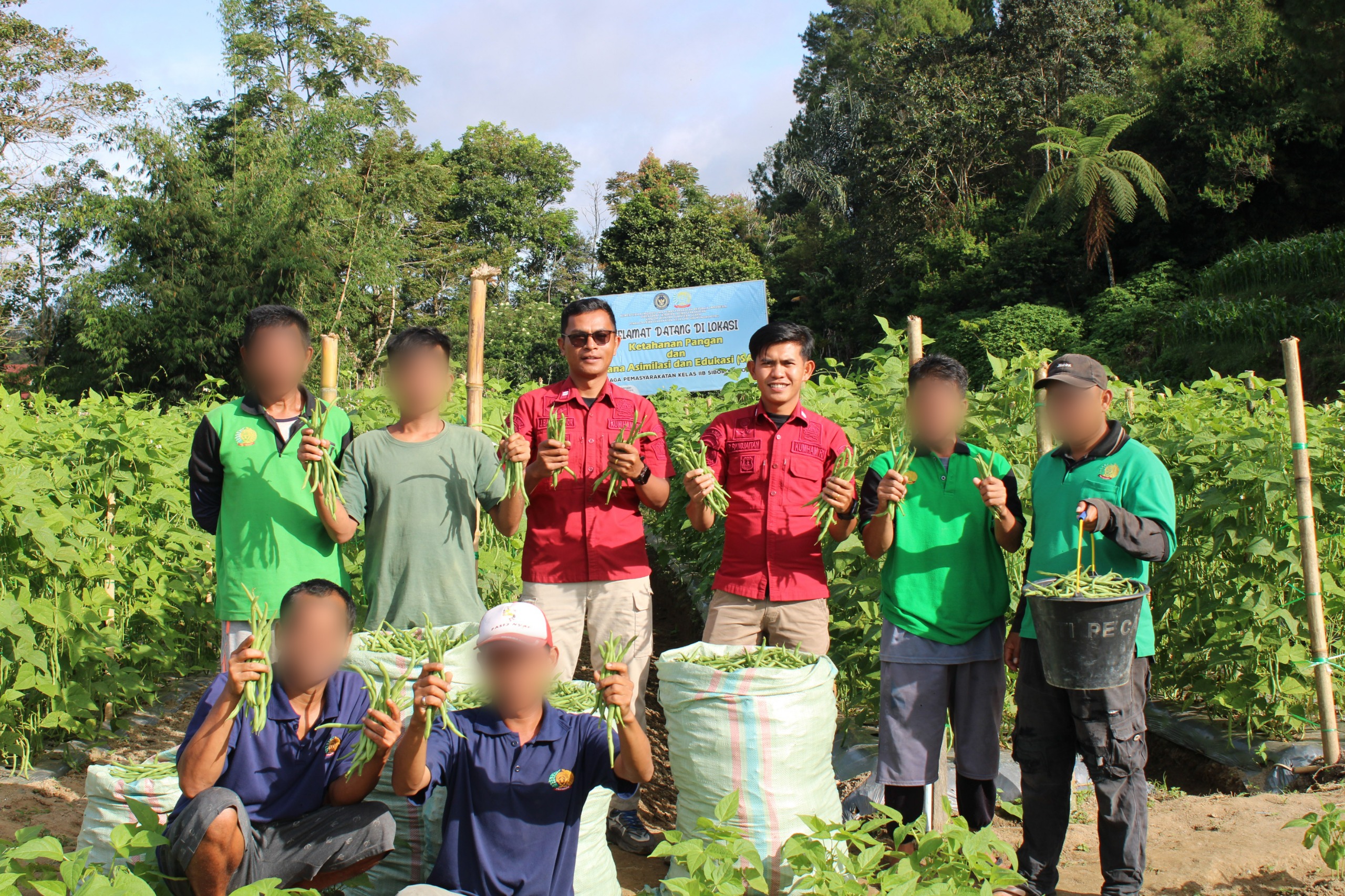 Lapas Kelas IIB Siborongborong Panen Buncis Program Ketahanan Pangan