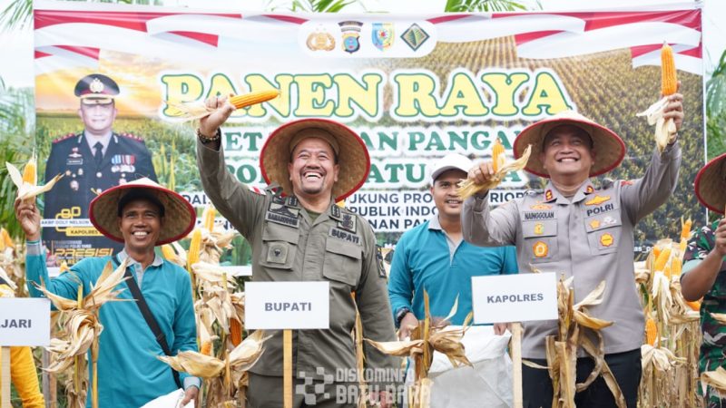 Bupati Baharuddin Siagian Lakukan Panen Raya Jagung di Desa Pelanggiran, Dukung Program Ketahanan Pangan