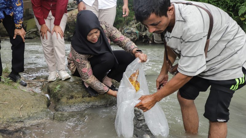 Wakil Wali Kota Pematangsiantar Tebar Bibit Ikan Nila di Dua Lokasi Berbeda