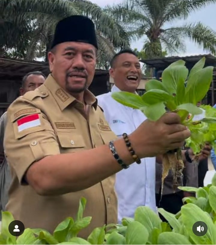 Bupati Baharuddin Siagian Apresiasi Kelompok Masyarakat Binaan PT Inalum Mampu Tingkatkan Perekonomian dan Menjaga Kelestarian Lingkungan