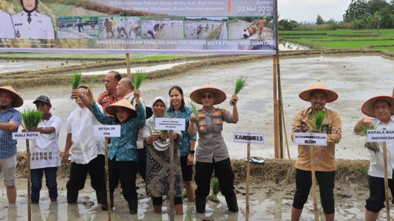 Tatap Muka dengan Petani, Kapolres Pematangsiantar Hadiri Pembagian Benih,Tebar Bibit Ikan dan Tanam Padi di Gunung Mulia