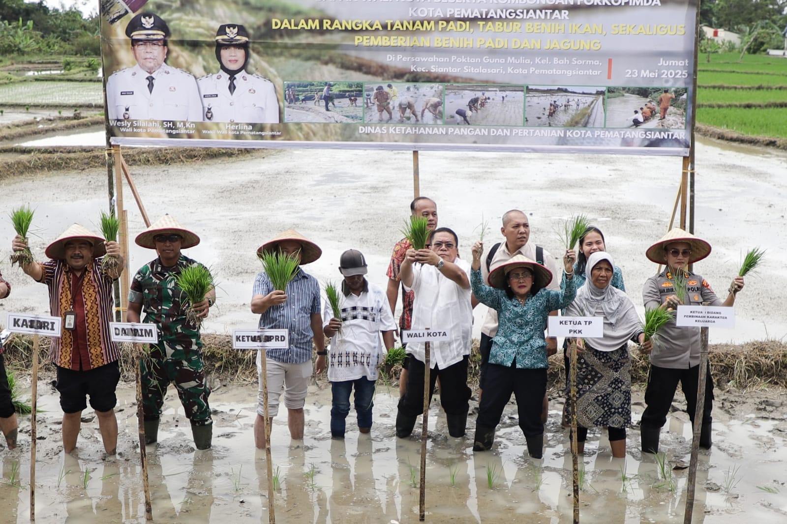 Wali Kota Pematangsiantar Bersama Forkopimda Laksanakan Acara Tanam Padi Serentak