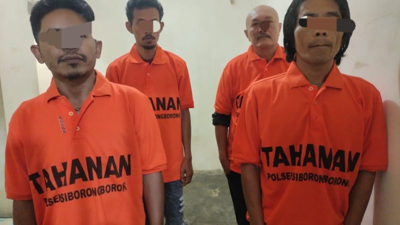 Polsek Siborongborong kerjasama dengan Sat Reskrim Polres Taput Berhasil Ringkus 4 Pelaku Pencurian Ternak Kerbau