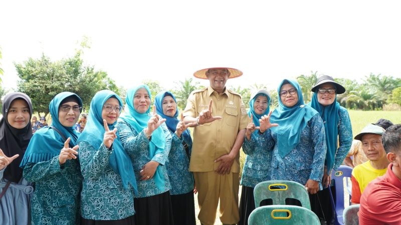 Bupati Syah Afandin Dorong Kemandirian Benih Padi di Langkat, Panen Inpari 33 Sukses