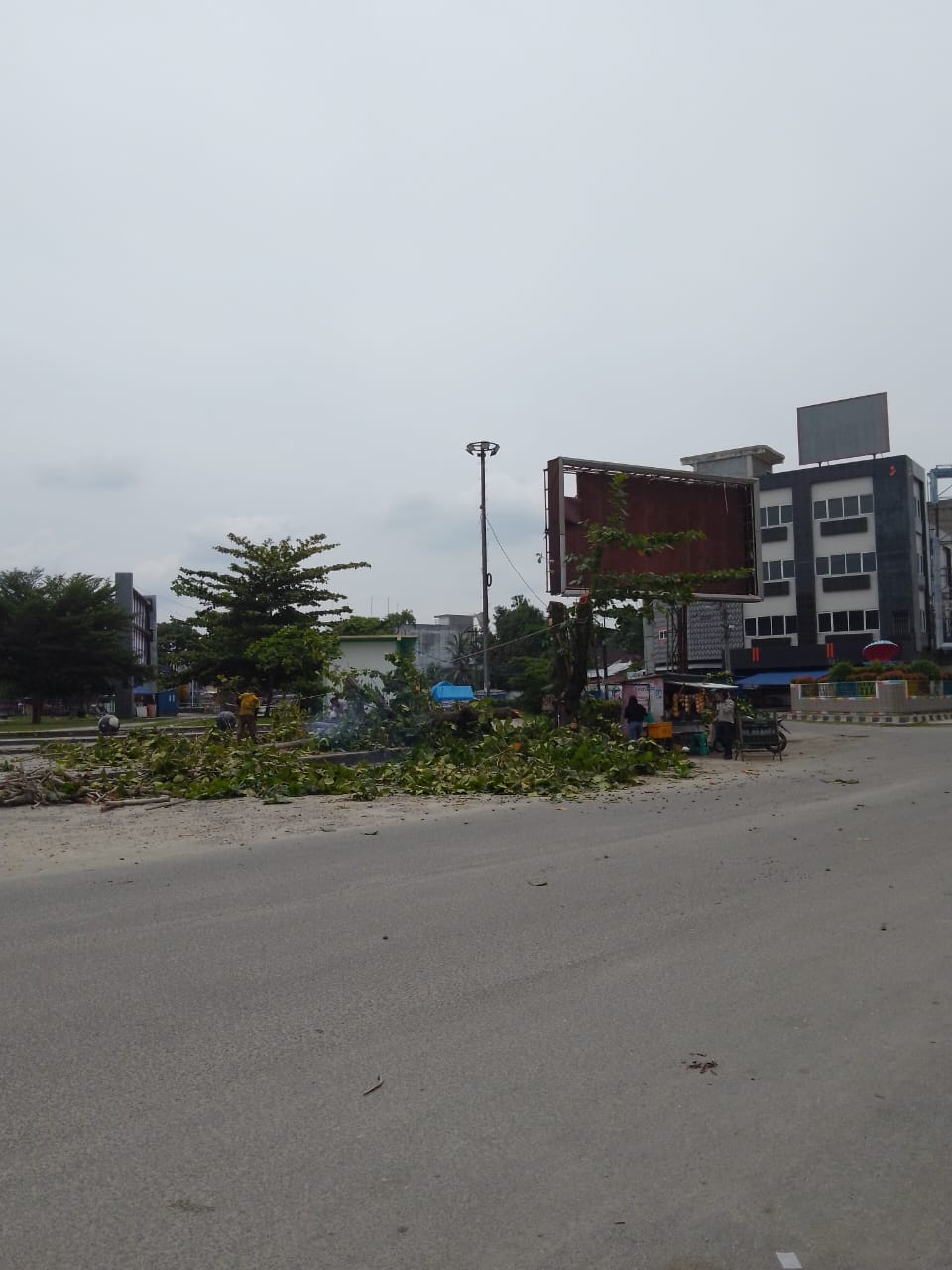 Tanjungbalai Makin Hari Semakin Panas Akibat Pemotongan Dahan Pohon