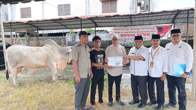 Tanjungbalai Terima Bantuan Sapi Qurban dari Presiden RI dan Gubernur Sumut