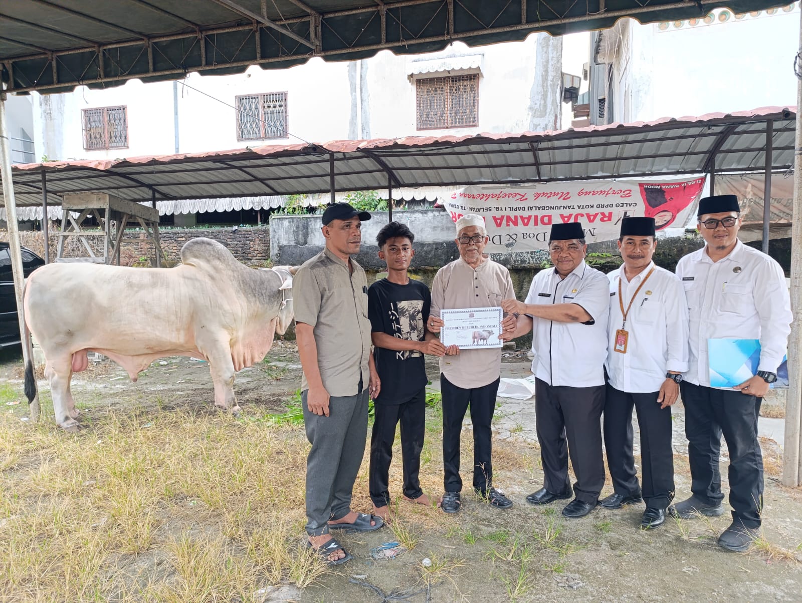Tanjungbalai Terima Bantuan Sapi Qurban dari Presiden RI dan Gubernur Sumut