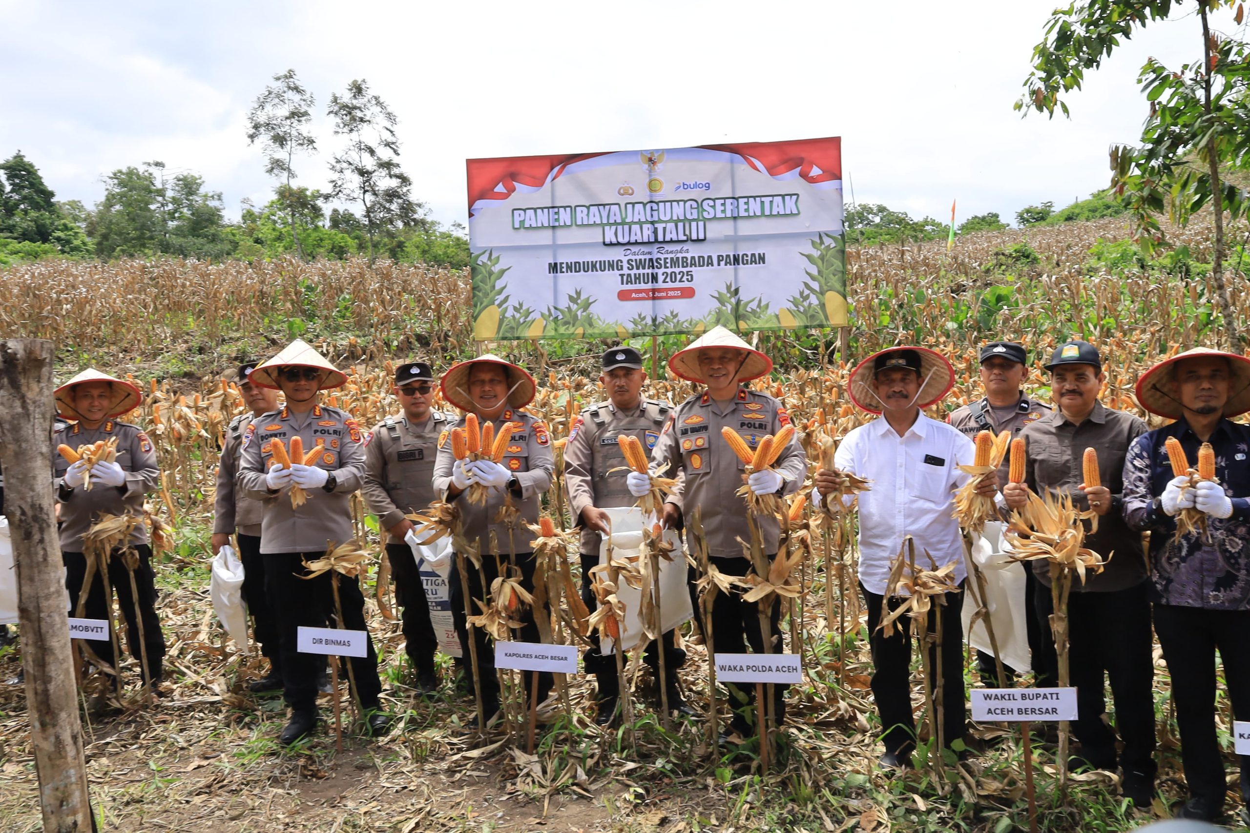 Wakapolda Aceh Panen Raya Jagung Serentak Kuartal II