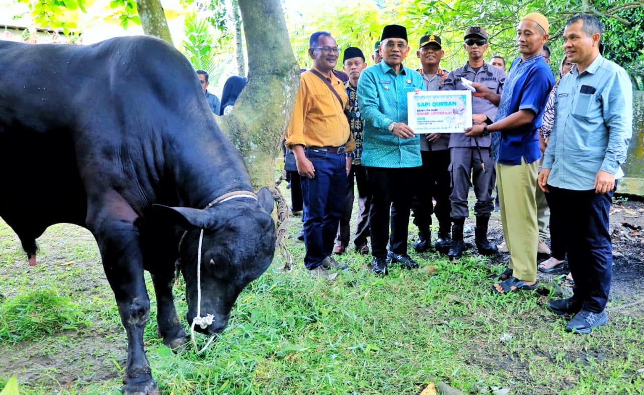 Bupati Simalungun Didampingi Kapolres dan Kajari Serahkan Hewan Qurban Dari Presiden RI