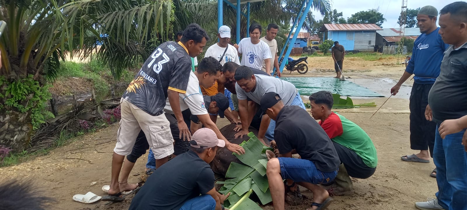 Momen Idul Adha, PT. Teso Indah Salurkan Bantuan Sosial Hewan Qurban