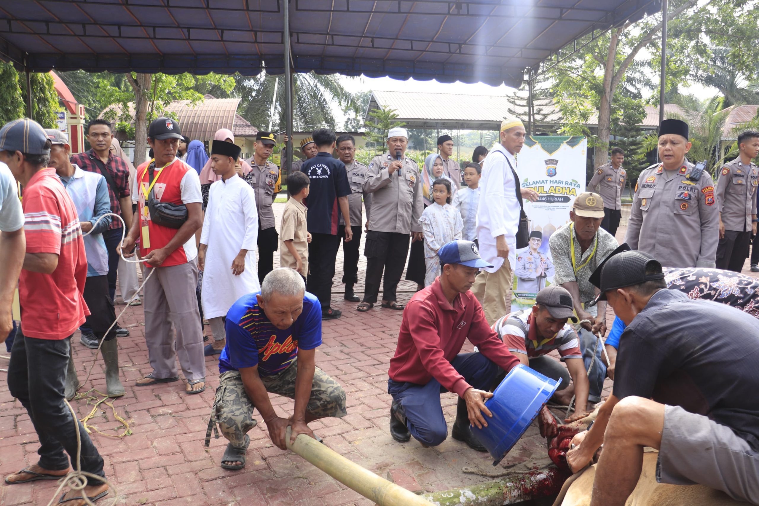 Indahnya Berbagi, Kapolres Langkat Serahkan Hewan Kurban di Idul Adha 1446 H/2025