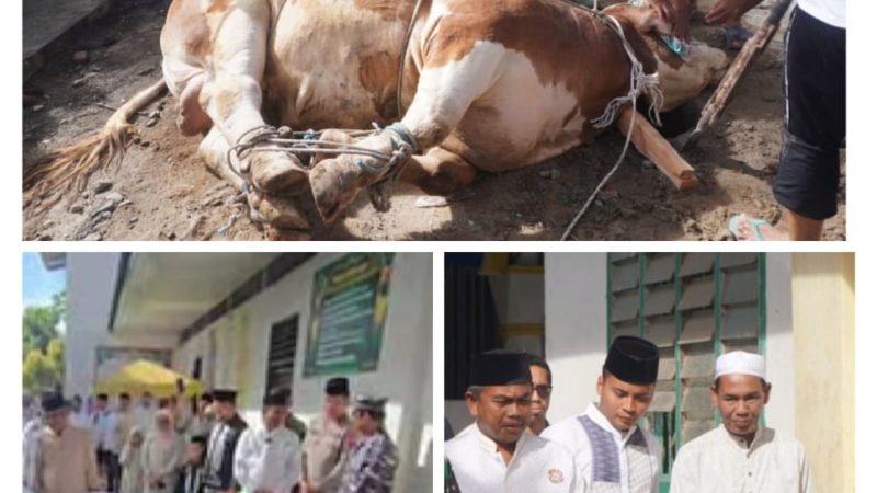 Jadi Sejarah, Pemkab Sergai Pilih Desa Pekan Kecamatan Tanjung Beringin Sembelih Hewan Qurban Presiden Prabowo