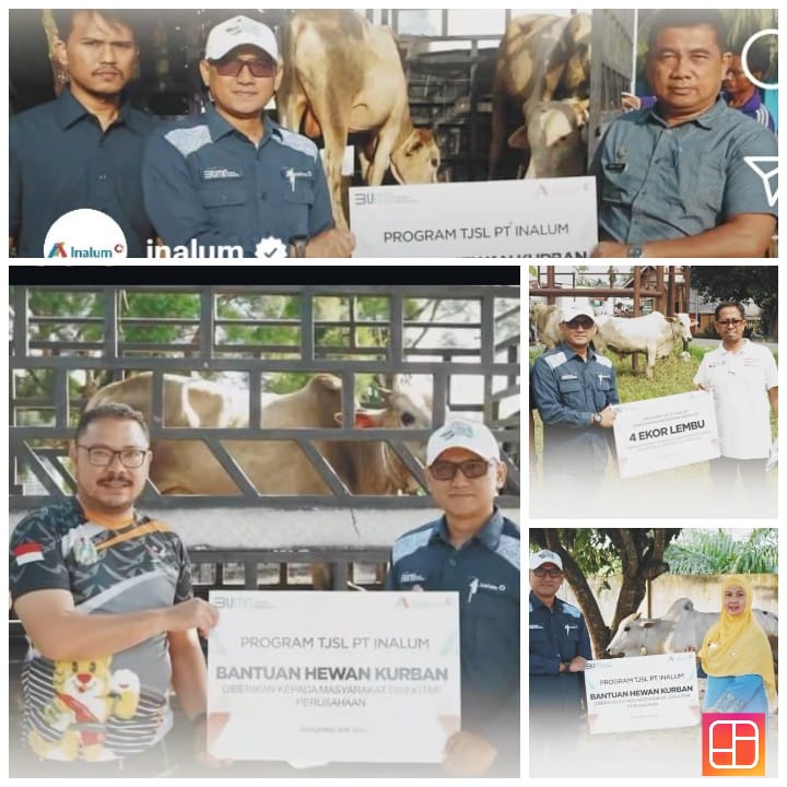 PT Inalum Serahkan 26 Ekor Hewan Kurban Sambut Idul Adha 1446 Hijriah Tahun 2025 Kepada Masyarakat
