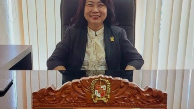 DR Lily MBA Ucapkan Selamat Hari Jadi Kota Medan ke 435, Ini Yang Disampaikan