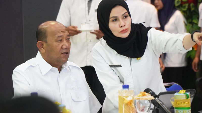 Bupati Langkat Tampilkan Inovasi TPAKD di Forum Nasional OJK