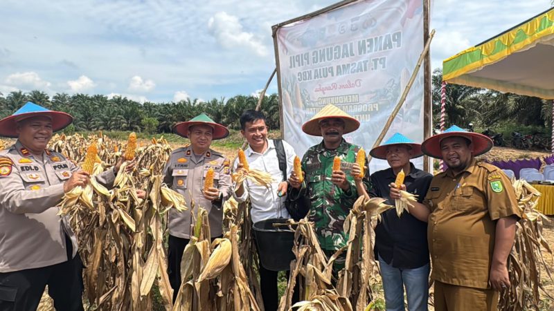 Dukung Ketahanan Pangan, Wakapolres Inhu Pimpin Panen Raya Jagung
