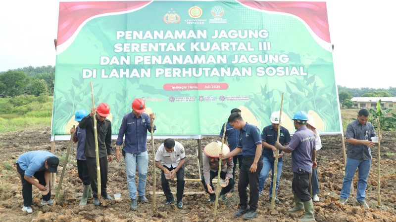 Wujudkan Ketahanan Pangan Nasional, Polres Inhu Tanam Jagung 1,3 Hektar 
