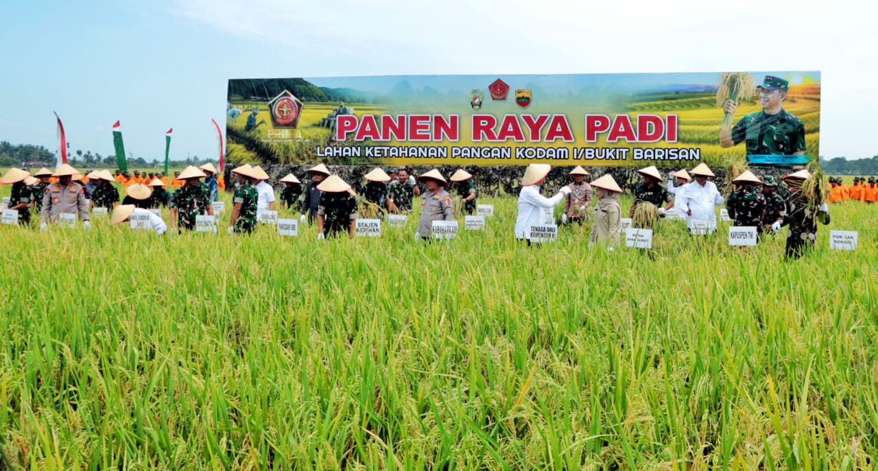 Bupati Simalungun dan Wakil Bupati Ikuti Giat Panen Raya Padi Sawah Kodam I/BB