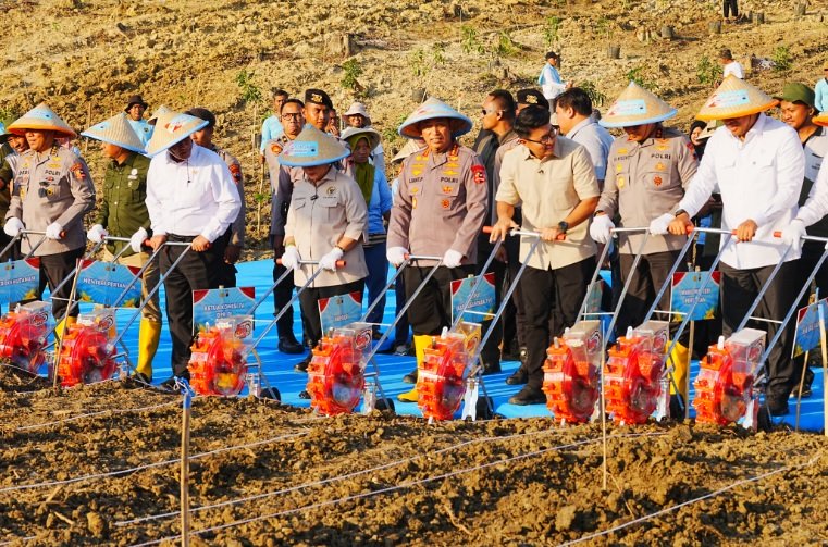 Tanam Jagung Serentak, Jenderal Sigit: Polri Siap untuk Mengawal Kedaulatan Pangan
