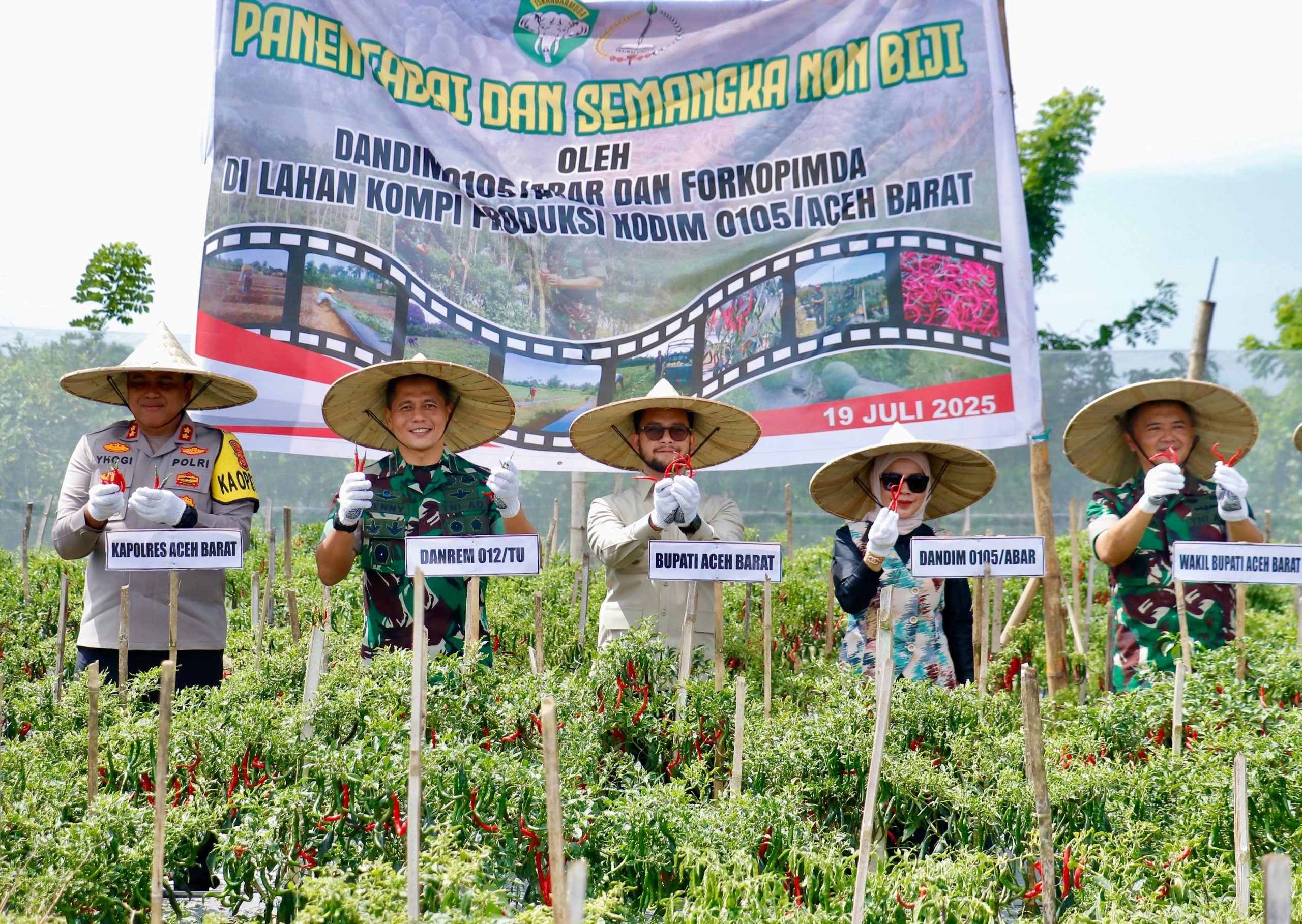 Wakil Bupati Aceh Barat Hadiri Panen Cabai dan Semangka non biji yang Dilaksanakan oleh Kodim 0105/ Abar di Kompi Produksi Desa Ujong Tanjung,