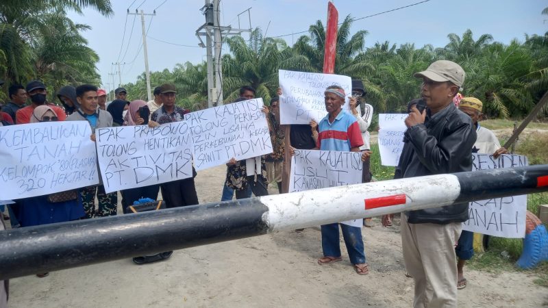 Diduga Rubah Kawasan Hutan Jadi Kebun Kelapa Sawit, Kelompok 80 Minta Presiden Tutup PT DMK