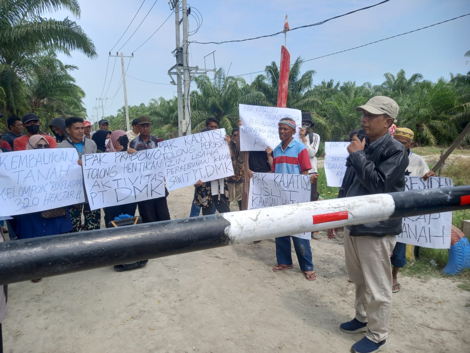 Diduga Rubah Kawasan Hutan Jadi Kebun Kelapa Sawit, Kelompok 80 Minta Presiden Tutup PT DMK