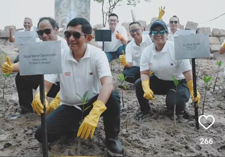 INALUM Perkuat Strategi Dekarbonisasi melalui Restorasi Mangrove Bersama Grup MIND ID