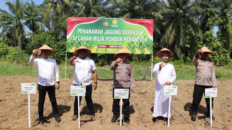 Polres Langkat Lakukan Penanaman Jagung Serentak, Dukung Program Ketahanan Pangan Nasional
