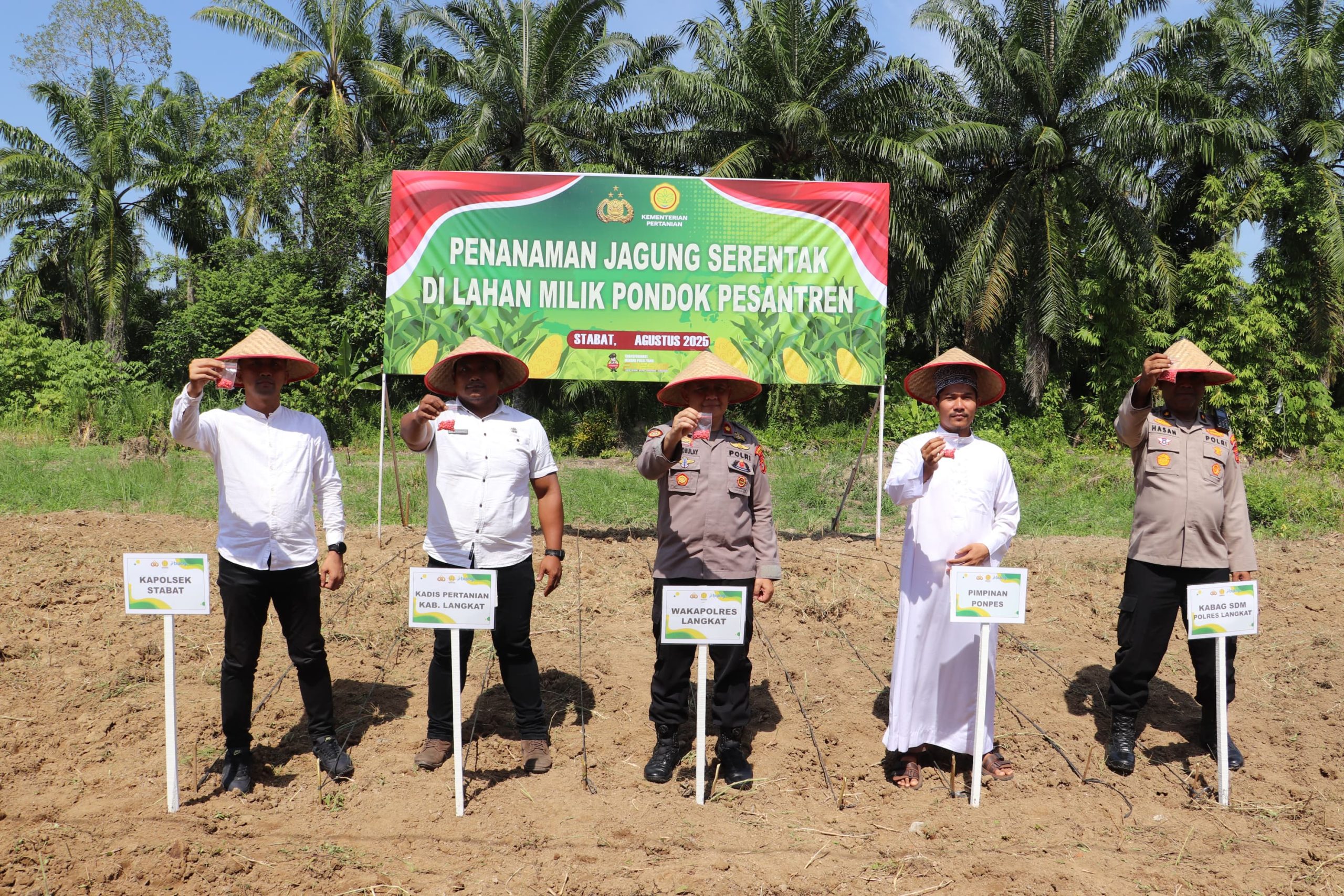 Polres Langkat Lakukan Penanaman Jagung Serentak, Dukung Program Ketahanan Pangan Nasional