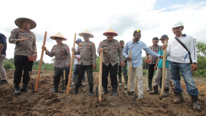 Siap Dukung Program Pemerintah, Polres Sergai Tanam Jagung Seluas 2 Hektar