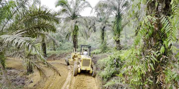 TMMD Ke – 125 Kodim 0209/LB Tancap Gas, Pembangunan Jalan Antar Dusun Hampir Rampung