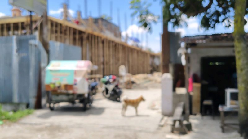 Puluhan Bangunan Kos-kosan Diduga Tak Kantongi Izin PBG, Direktur Eksekutif LIPPSU, Ari Sinik Minta Perkimcitaru dan Satpol PP Medan Bongkar