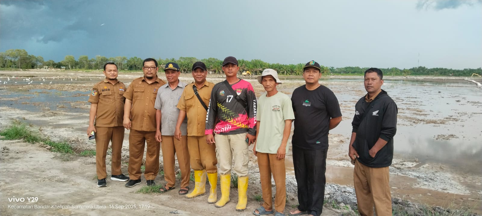 Dorong Swasembada Pangan, Program Cetak Sawah Mandiri di Sergai Berlanjut