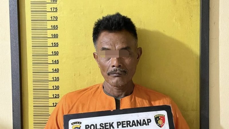 Polsek Peranap Inhu Bekuk Pembakaran Istri Dalam Kebun Sawit