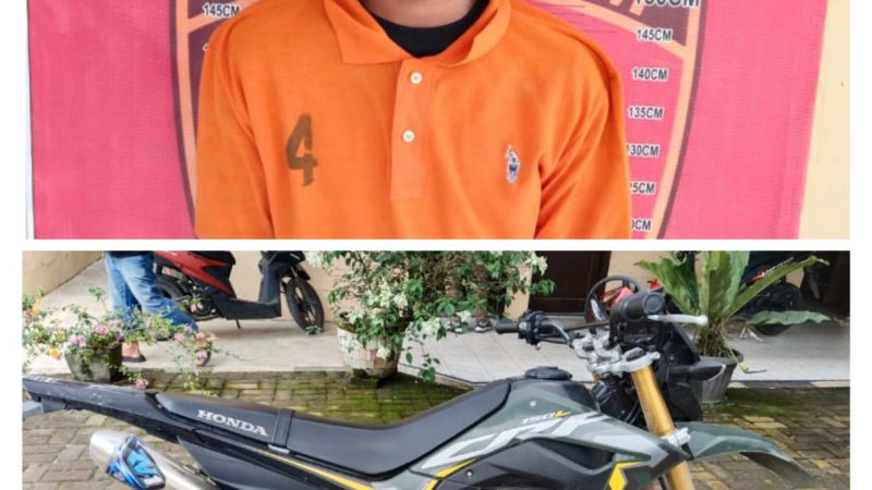Operasi Kancil Toba 2025, Polres Sergai Berhasil Ringkus Pelaku Curas